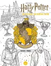 Harry Potter: Hufflepuff House Pride packaging