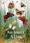 An Insect A Day cover