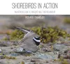 Shorebirds in Action cover