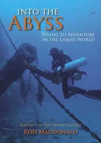 Into the Abyss cover