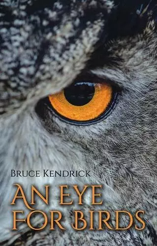 An Eye for Birds cover