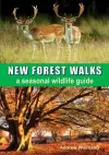 New Forest Walks cover