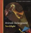 Animals Underground cover