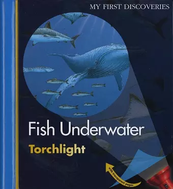 Fish Underwater cover