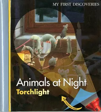 Animals at Night cover