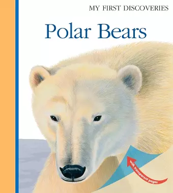 Polar Bears cover