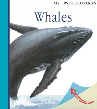 Whales cover