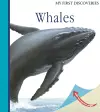 Whales cover