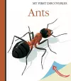 Ants cover