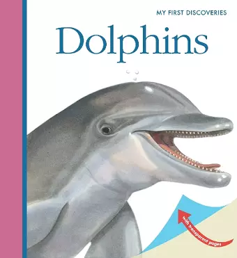 Dolphins cover