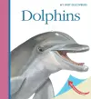 Dolphins cover