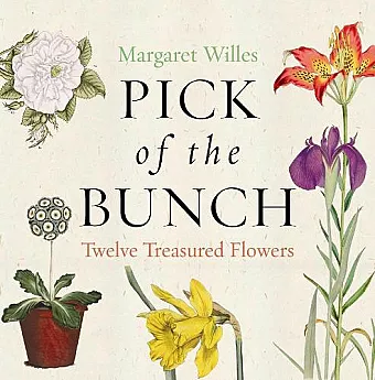 Pick of the Bunch cover