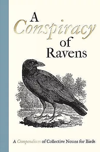 A Conspiracy of Ravens cover