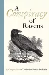 A Conspiracy of Ravens cover