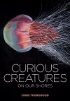 Curious Creatures on our Shores cover