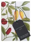 Botanical Art Notebook Set cover