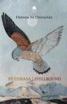 Fé Gheasa / Spellbound cover
