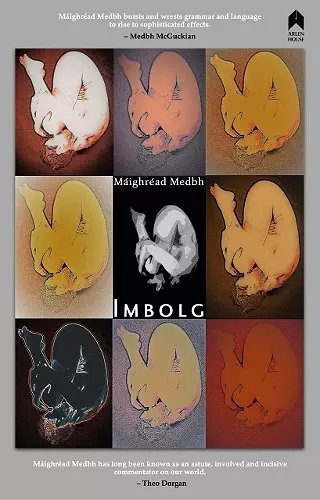 Imbolg cover