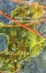 Bog Treasure cover