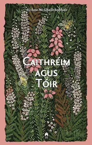 Caithreim Agus Toir cover