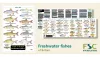 Guide to British Freshwater Fishes cover