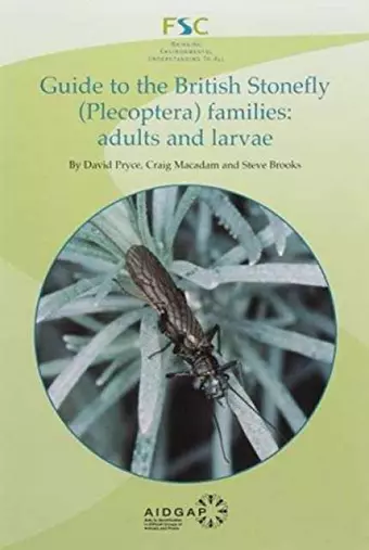 Guide to the British Stonefly (plecoptera) Families: Adults and Larvae cover