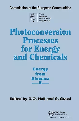 Photoconversion Processes for Energy and Chemicals cover