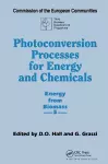 Photoconversion Processes for Energy and Chemicals cover