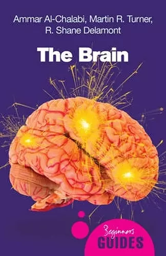 The Brain cover