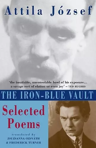 The Iron-Blue Vault cover