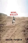 Here, Bullet cover