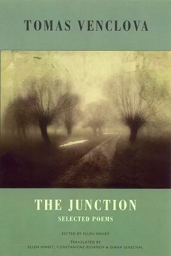 The Junction cover