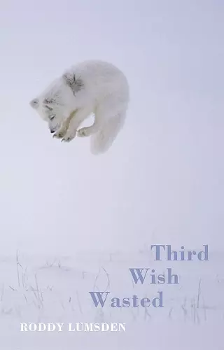 Third Wish Wasted cover