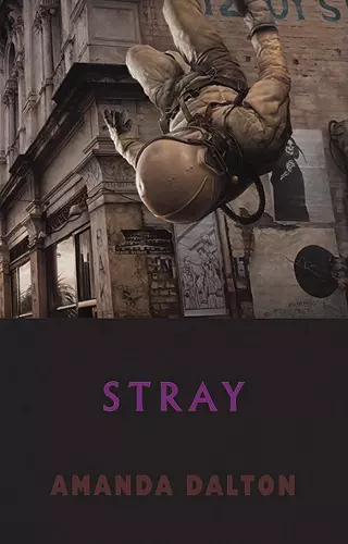 Stray cover