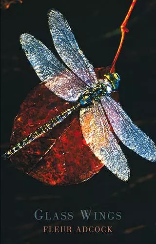 Glass Wings cover