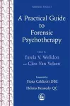 A Practical Guide to Forensic Psychotherapy cover