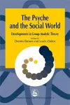 The Psyche and the Social World cover
