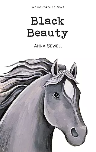 Black Beauty cover