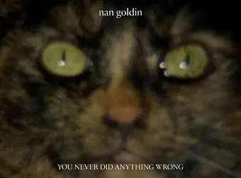 Nan Goldin cover
