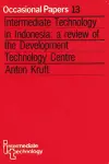 Intermediate Technology in Indonesia cover