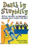 Death By Stupidity cover