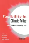Flexibility in Global Climate Policy cover