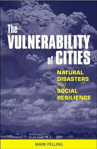 The Vulnerability of Cities cover