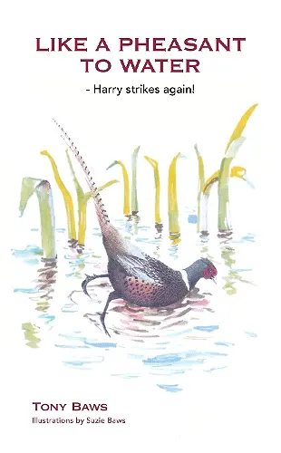 Like a Pheasant to Water cover