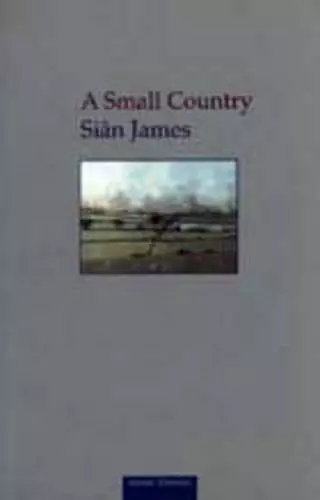 A Small Country cover