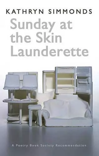 Sunday at the Skin Launderette cover