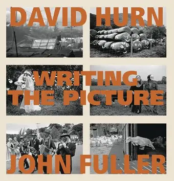 Writing the Picture cover
