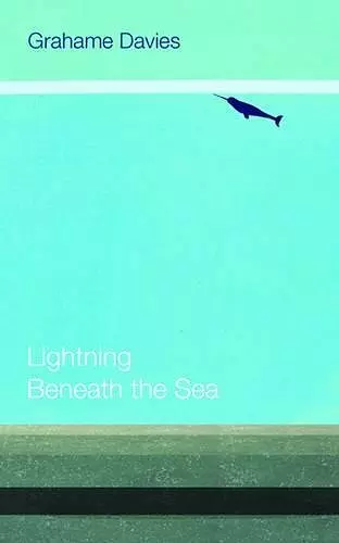 Lightning Beneath the Sea cover