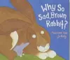 Why So Sad, Brown Rabbit? cover