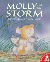 Molly and the Storm cover
